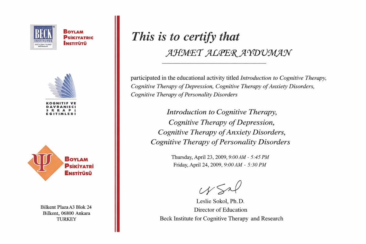 Introduction to Congnitive Therapy